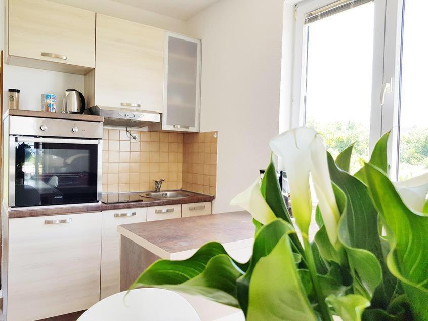 Talija Apartments Krimovica Budva Bagian luar foto